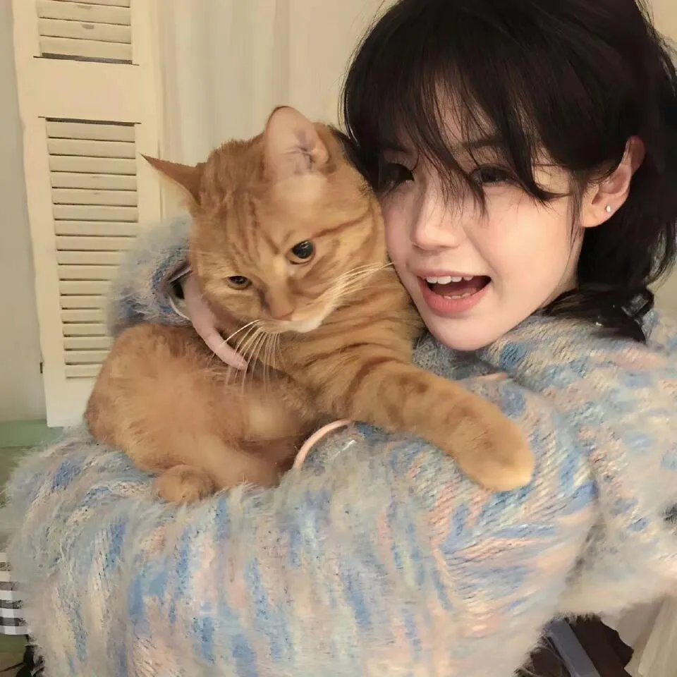 二龙湖疯狂代驾