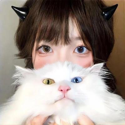 攻壳机动队 新剧场版